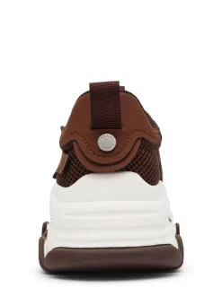 Baskets Steve Madden Possession marron