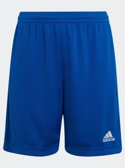 Bleu - Adidas Entrada 22 Short