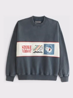 Bleu - Sweat-shirt Abercrombie & Fitch Graphique Ski Popover