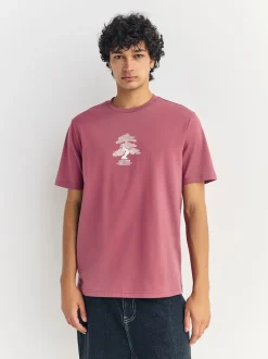 Bleu/Vert/Rose - Ajustement régulier - T-shirt Graphic Imprimé 3 Pack