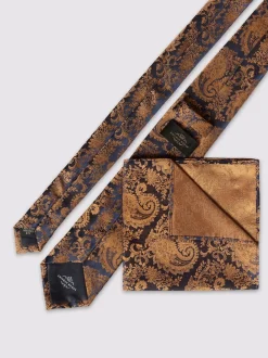 Cravate Antique Rogue Paisley