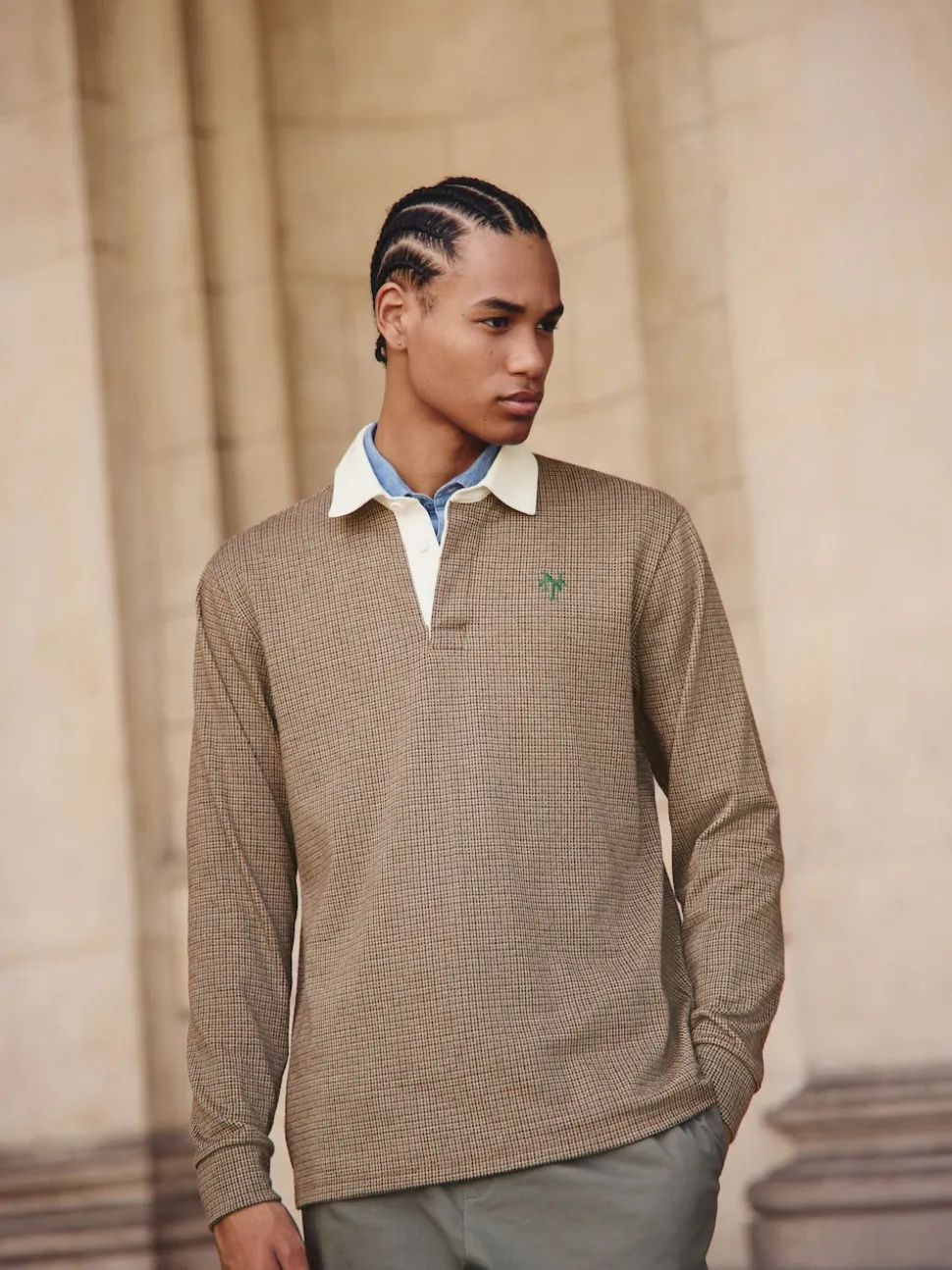 Dent de chiot brun fauve - Maillot de rugby