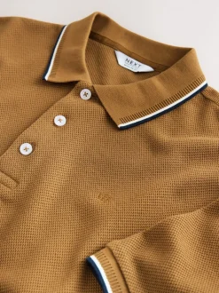 Marron fauve - Polo coupe classique à manches courtes et liserés