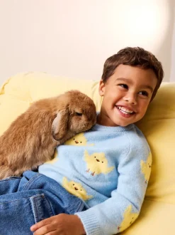 Poussin bleu - Pull col rond en maille (3mois-7ans)