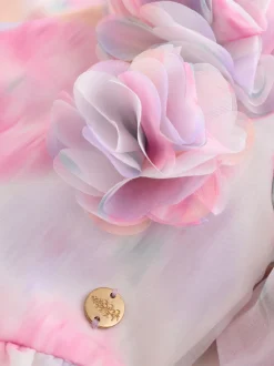 Roses de jardin roses flous - Robe Laura Ashley Corsage en organza à plis nervurés